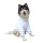 Luxury Soft Cotton Hooded Pet Bathrobe